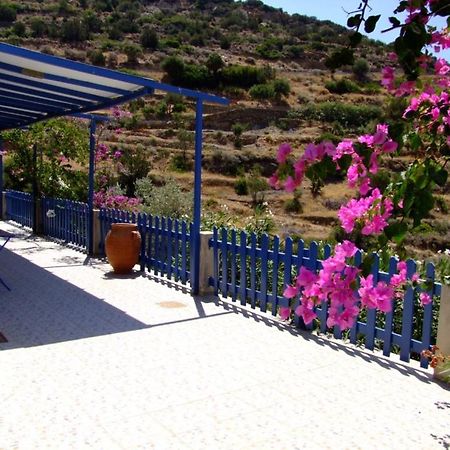 Villa Costa Studios Vathi  Dış mekan fotoğraf