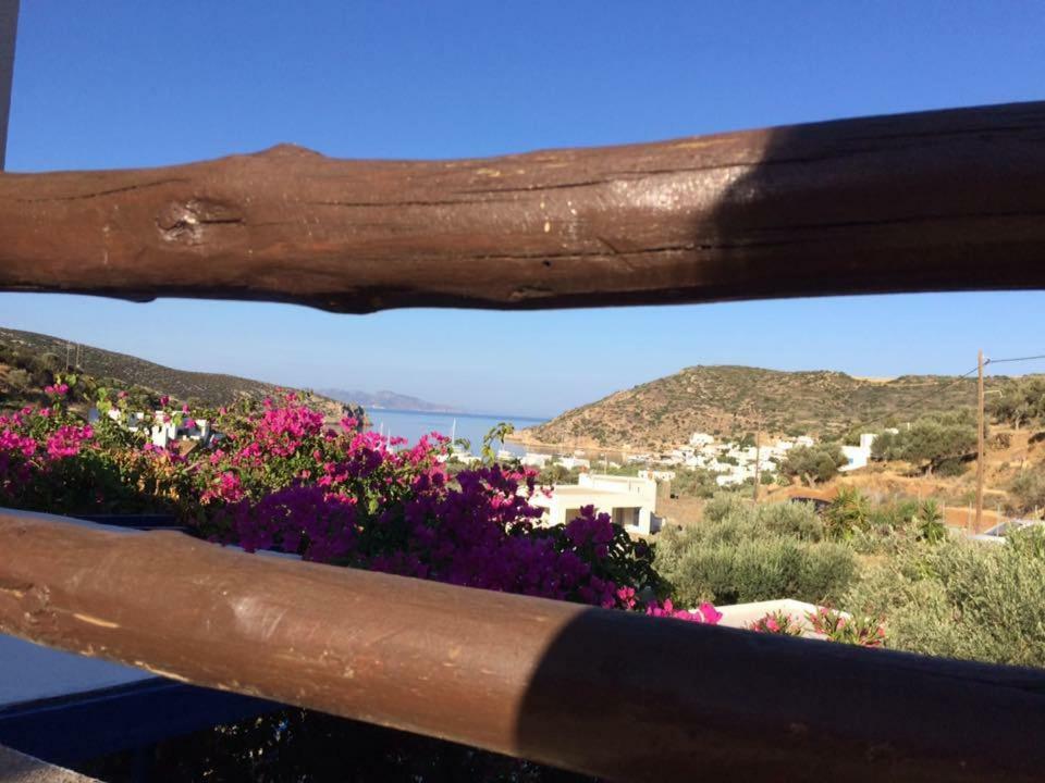 Villa Costa Studios Vathi  Dış mekan fotoğraf