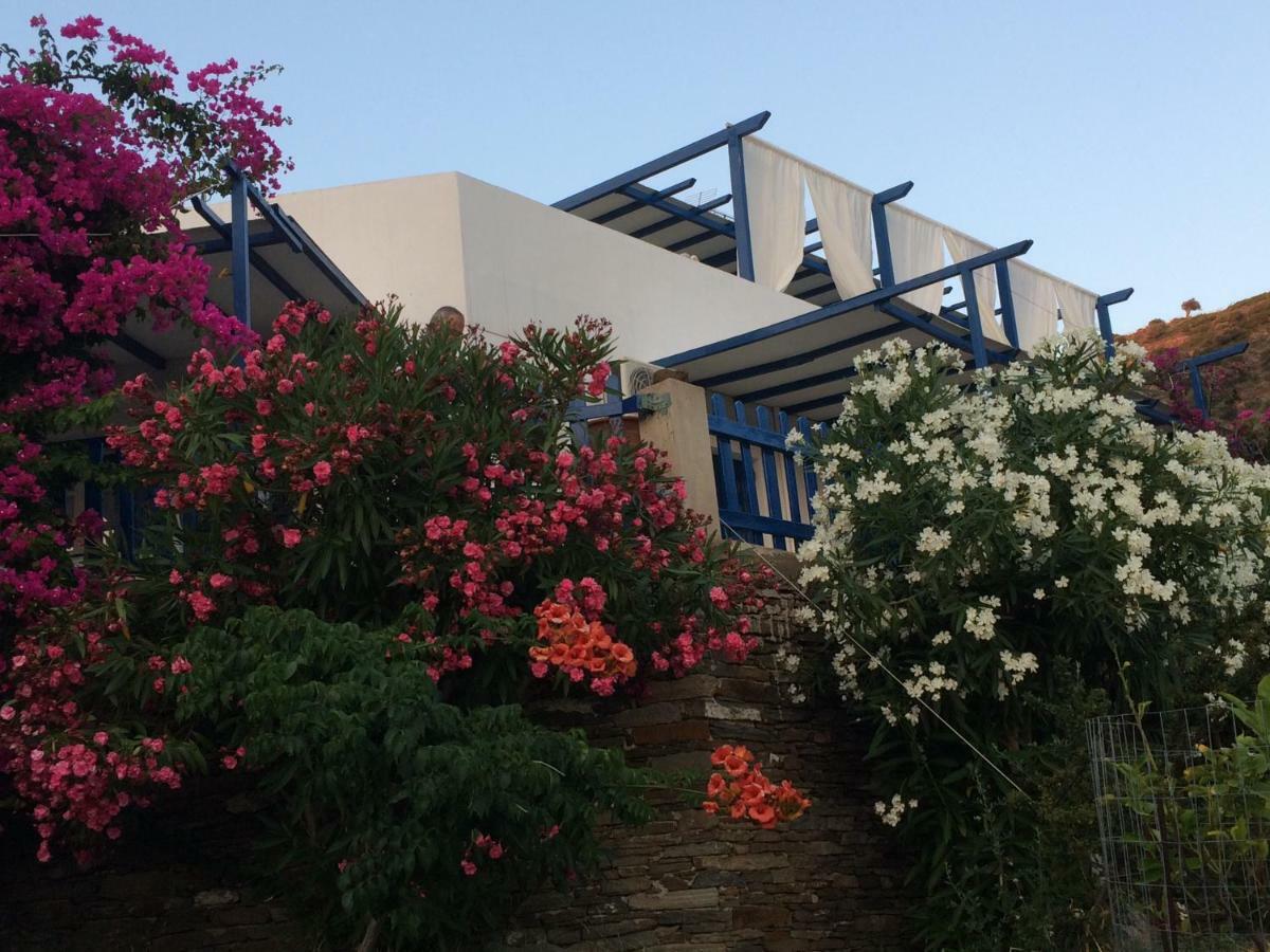Villa Costa Studios Vathi  Dış mekan fotoğraf