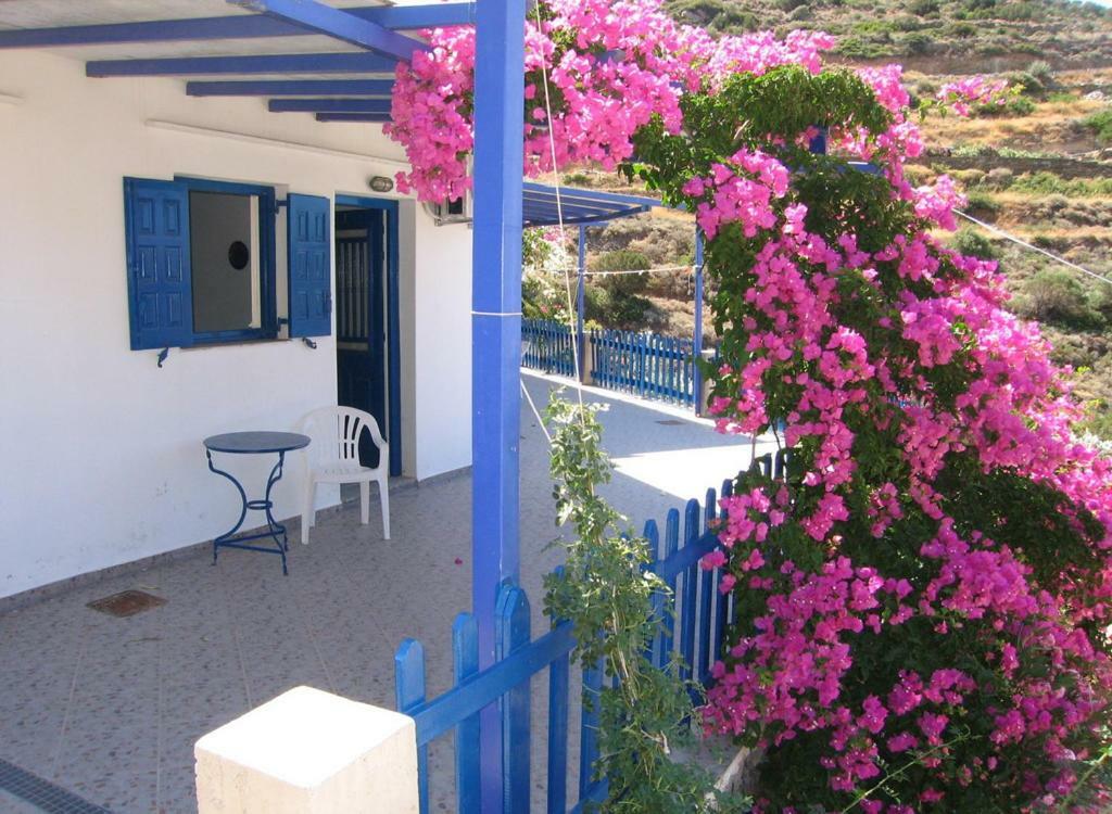 Villa Costa Studios Vathi  Dış mekan fotoğraf