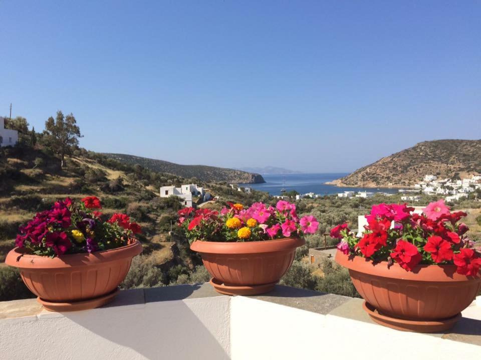 Villa Costa Studios Vathi  Dış mekan fotoğraf